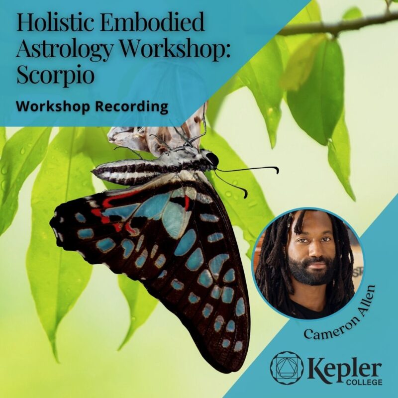 butterfly on branch, Holistic Astrology, Scorpio, workshop