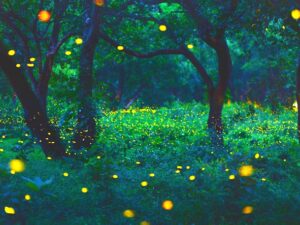 Lush forest on summer evening with deep grass and fireflies everywhere, glowing orange
