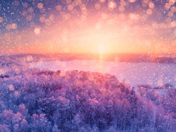 Winter Term 2025-2026